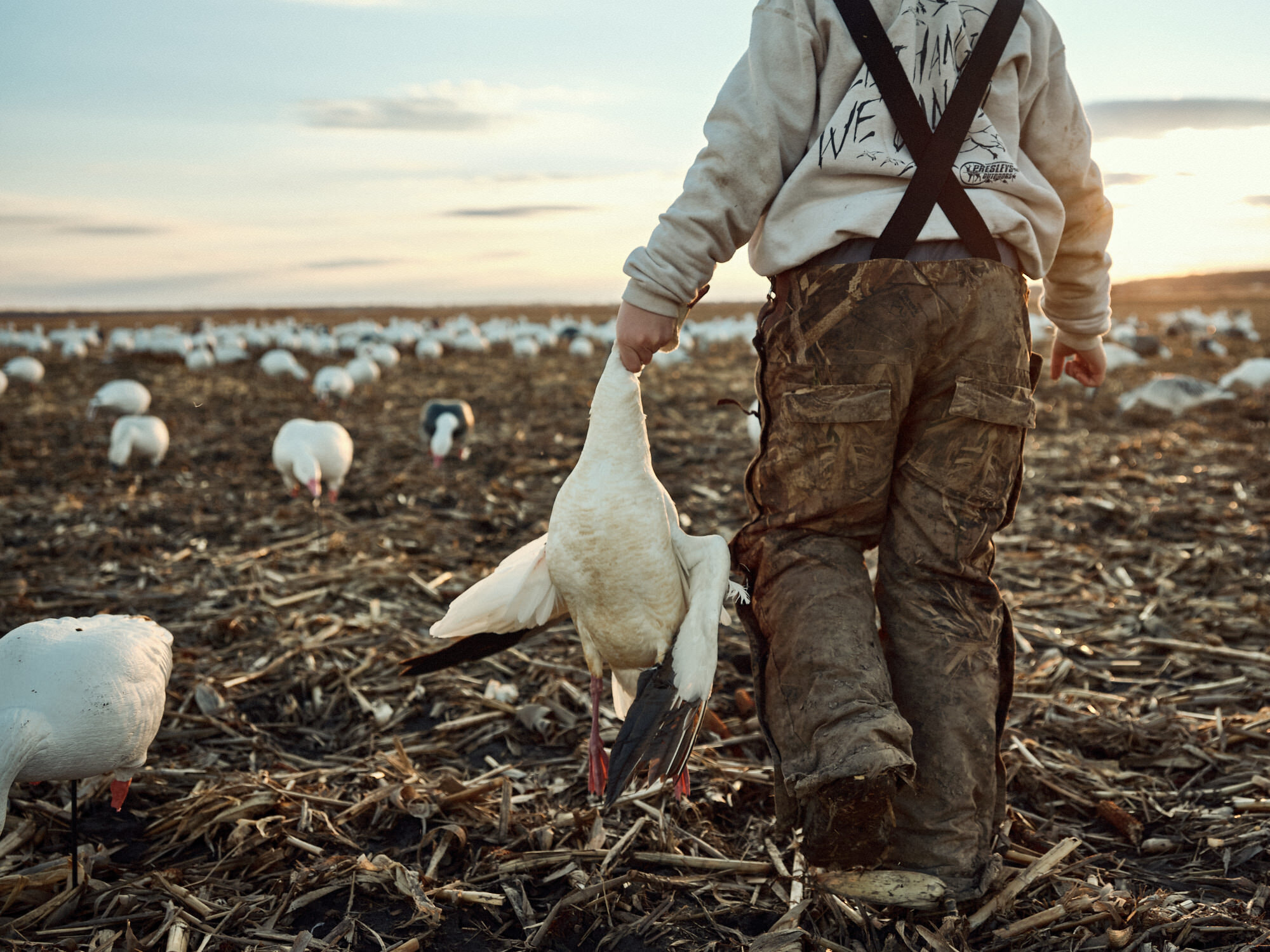 20190316_GooseHunting_DSCF0483.jpg