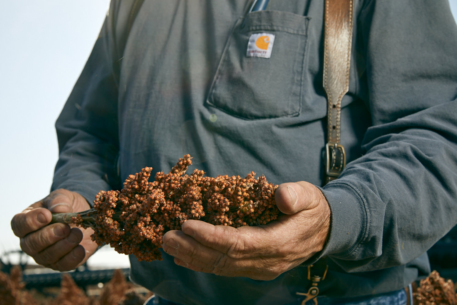  Bushel Ag in Kansas 