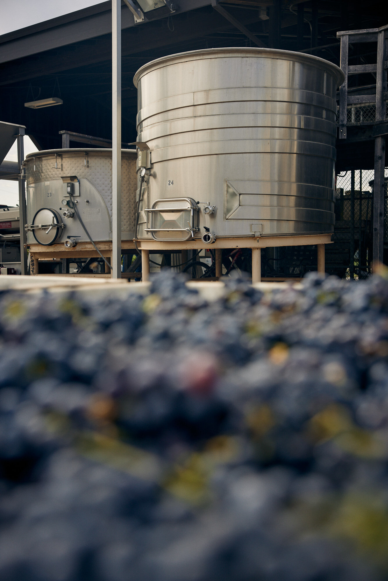  Lichen Winery in Booneville, Ca photographed by Seth Lowe 