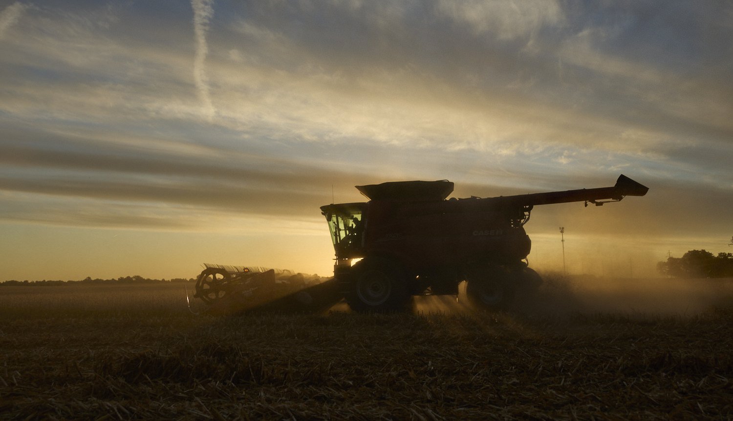  Corn and soybean harvest in Illinois 
