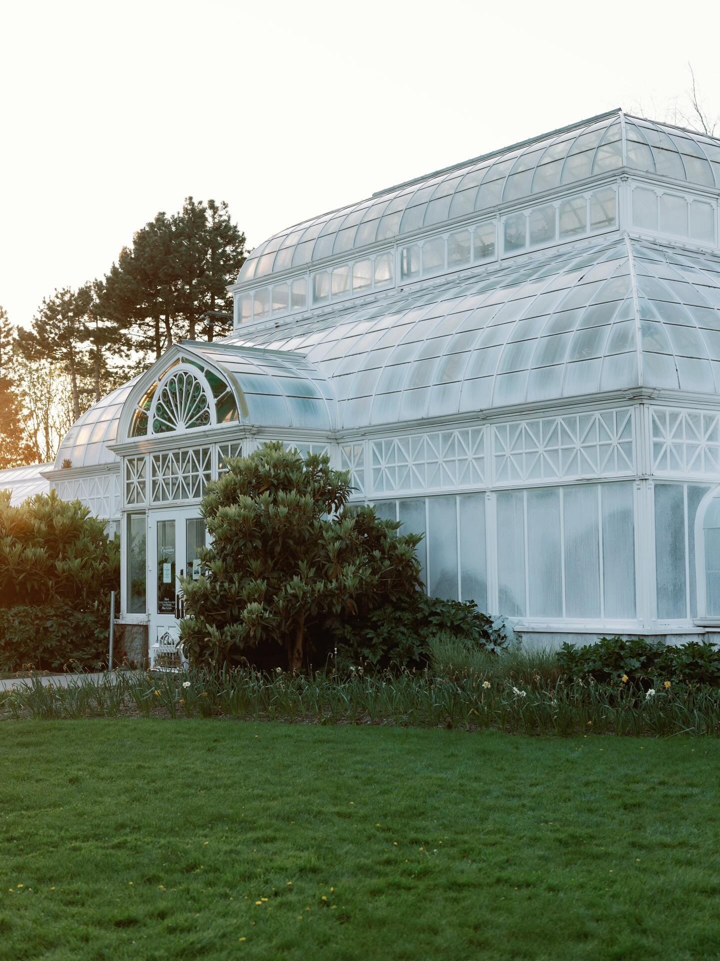 Imagine pics spinning around with your kids here, laying in the grass, on a warm afternoon - Spring mini link in bio!