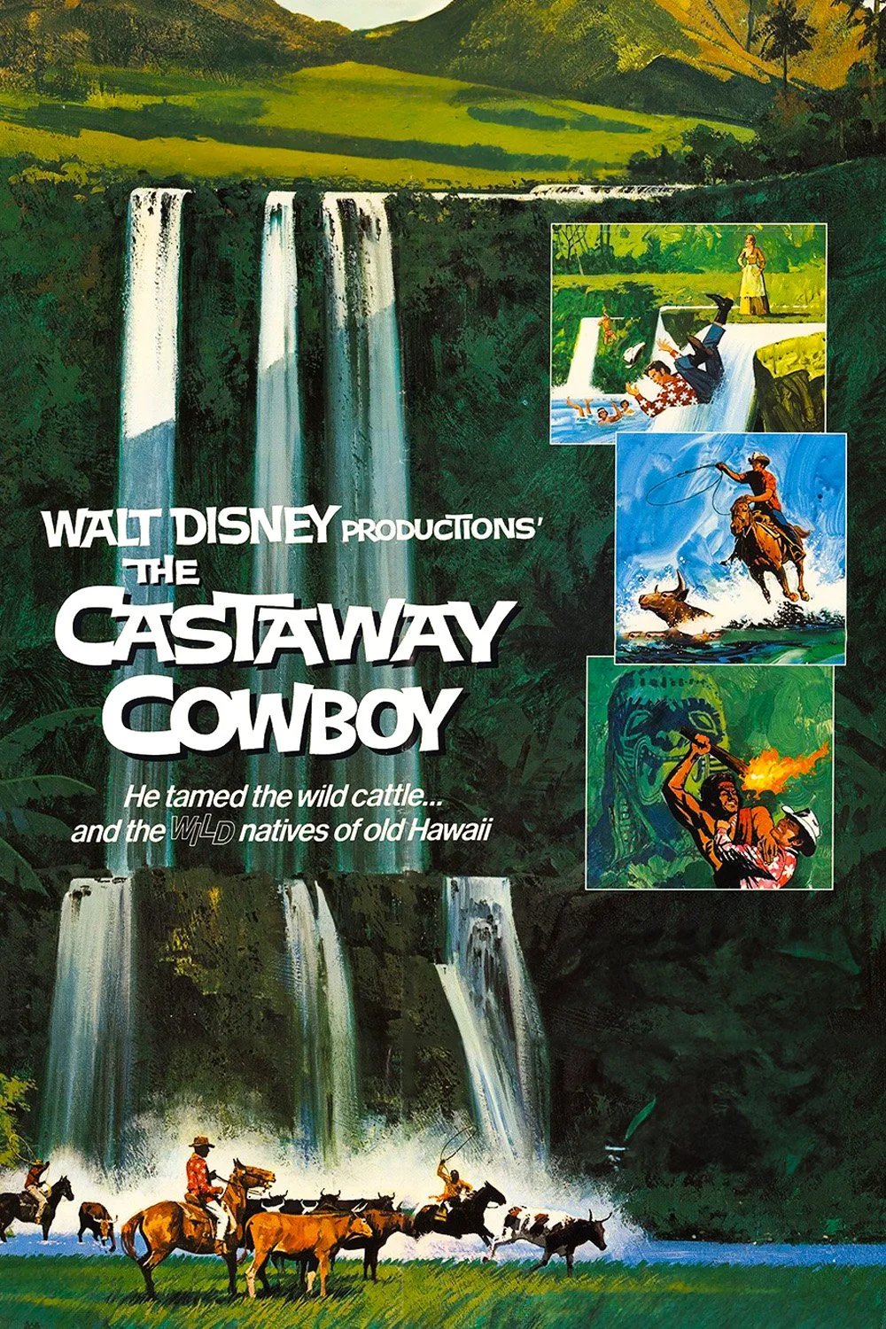 The Castaway Cowboy (1974).jpg