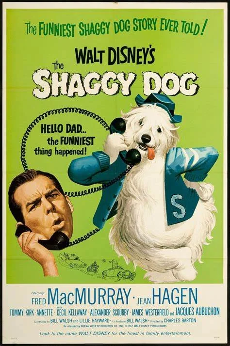 shaggydog1.jpg
