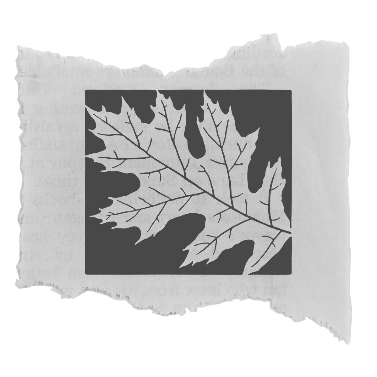 The Arrival of Autumn