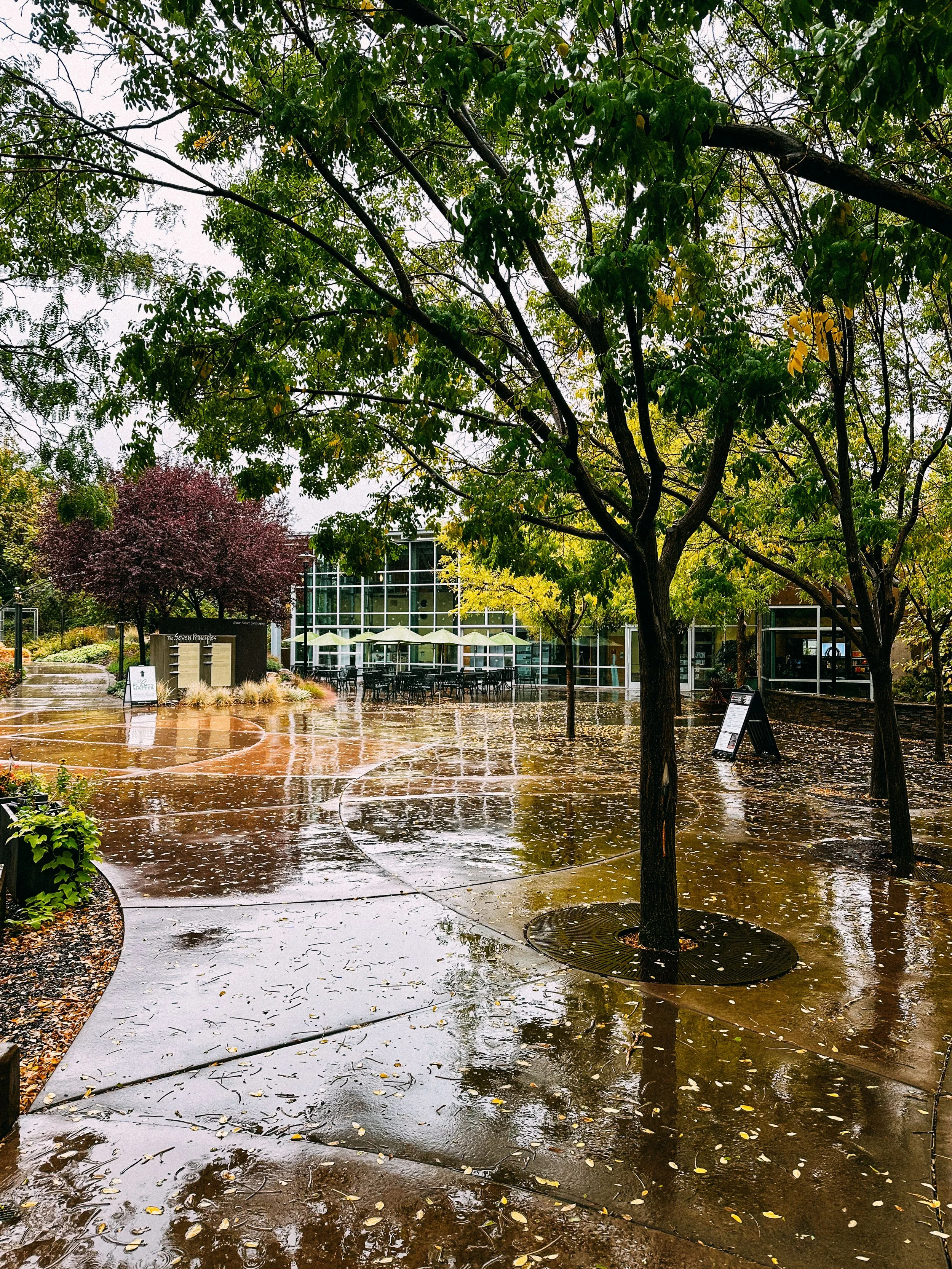 Garden Courtyard