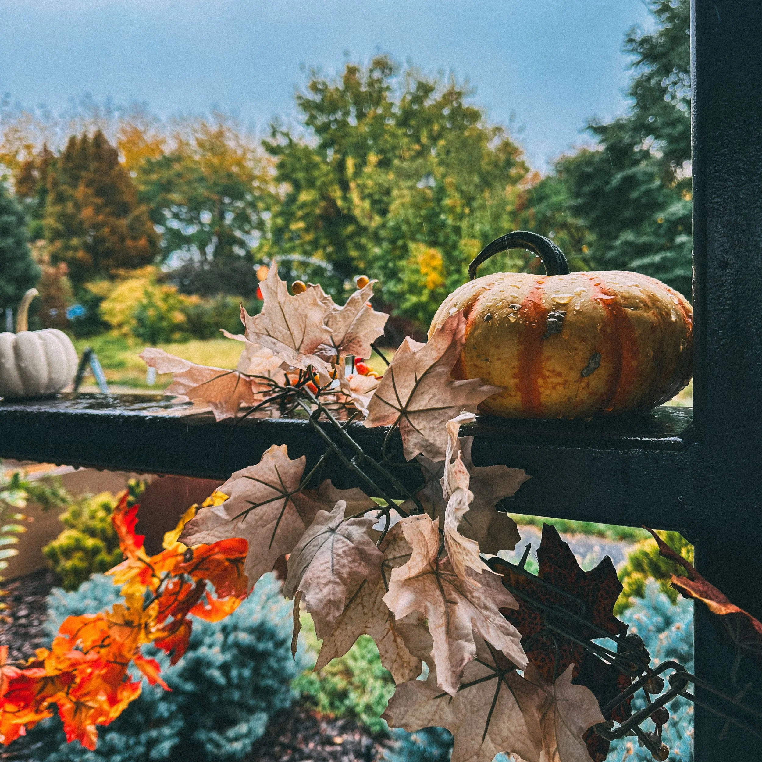 Pumpkin and Leaves on the Windowsill
