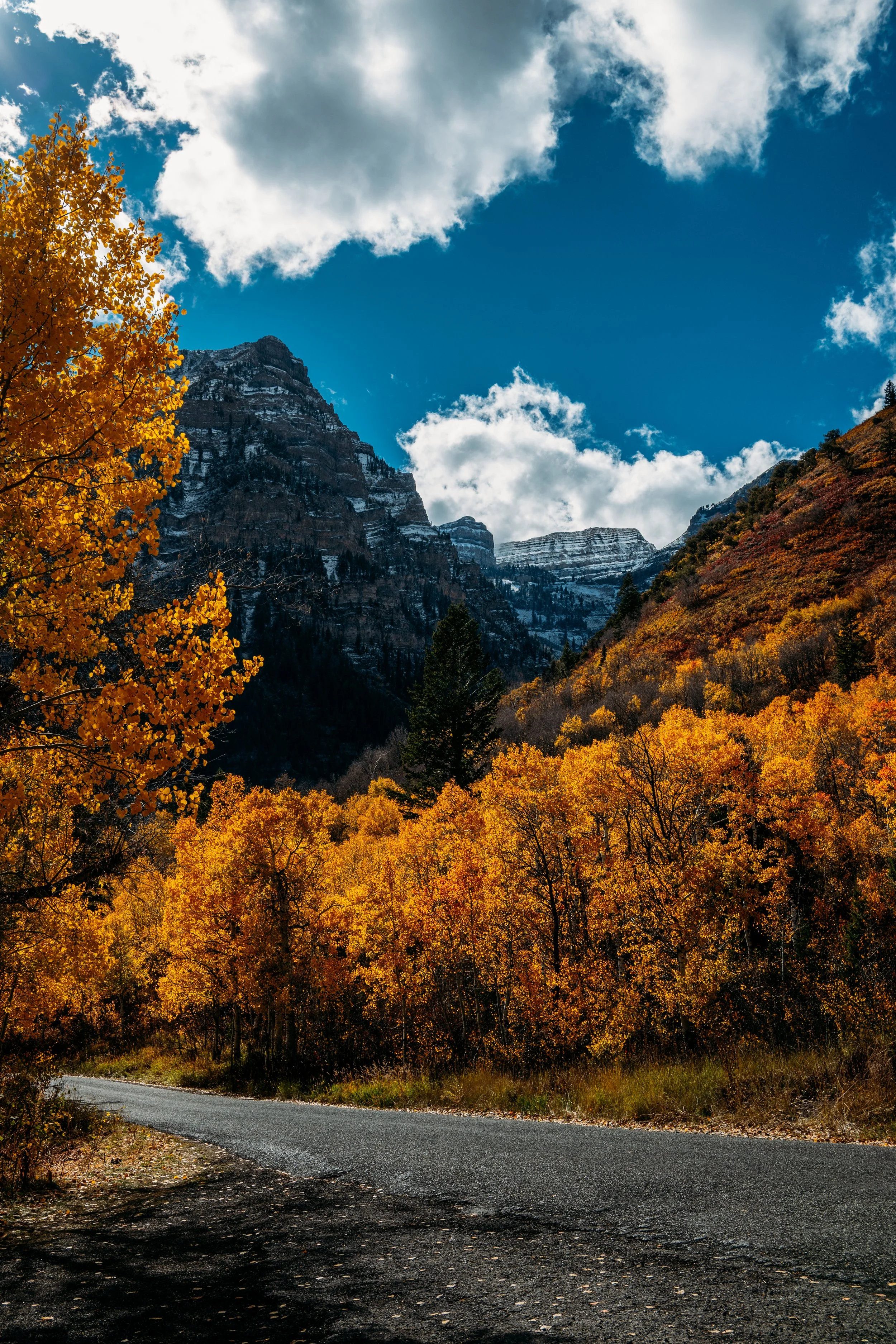 Alpine Loop, Sunday, October 12th, 2025