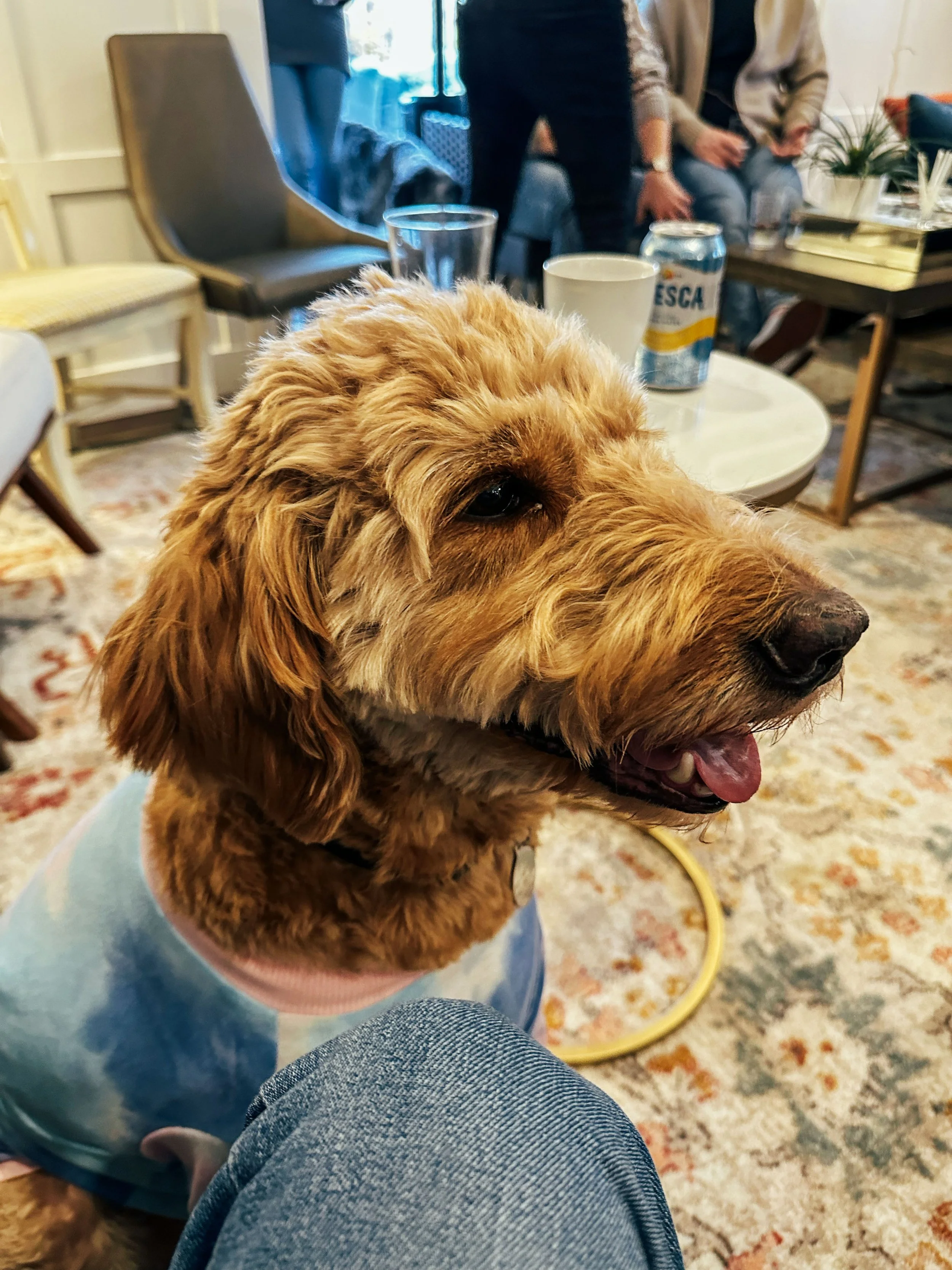 Val & Mer's Soup and Pie Party 2025