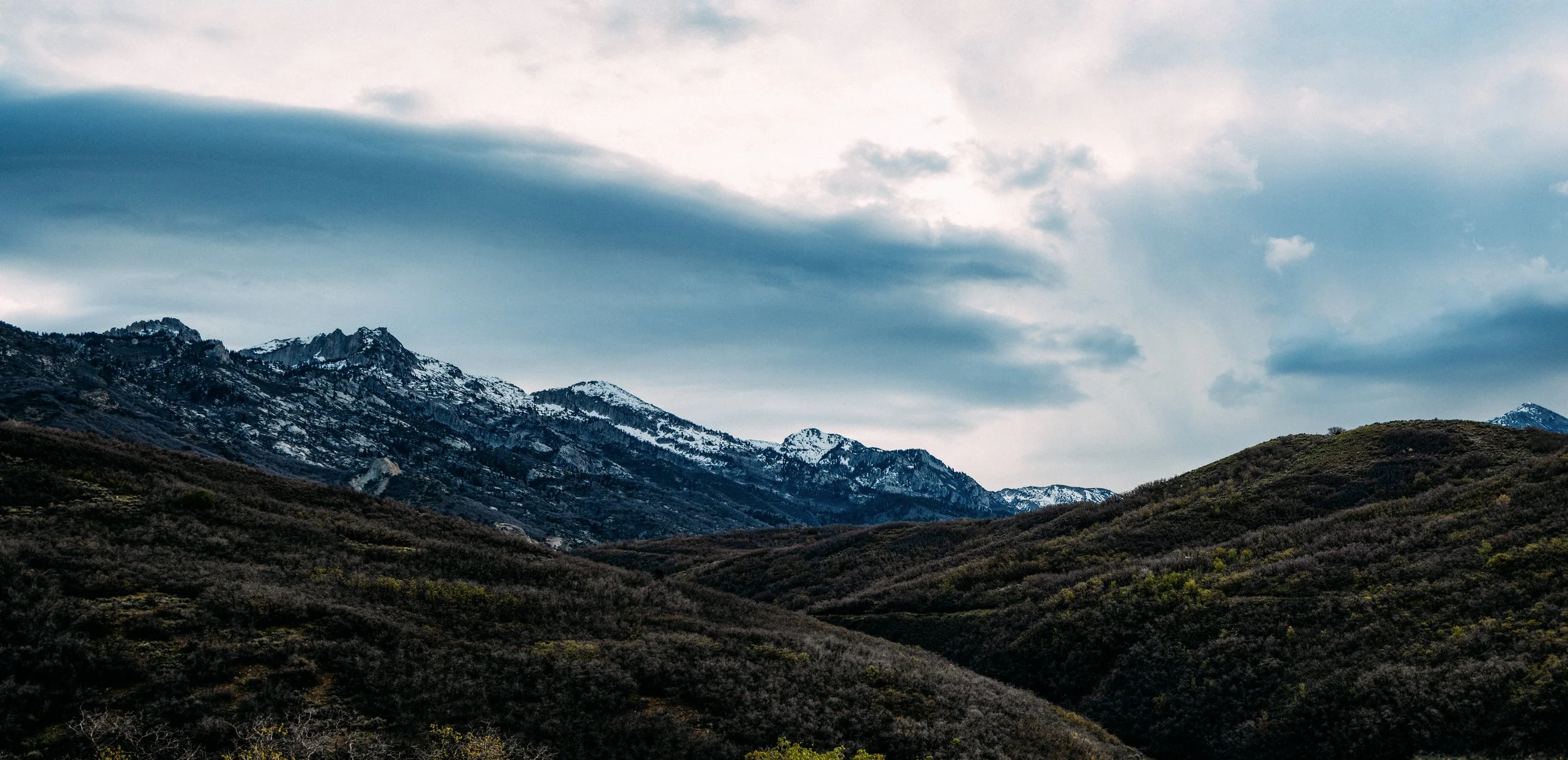 Pork-U-Pine Trail, 4/11/26 Panorama 1
