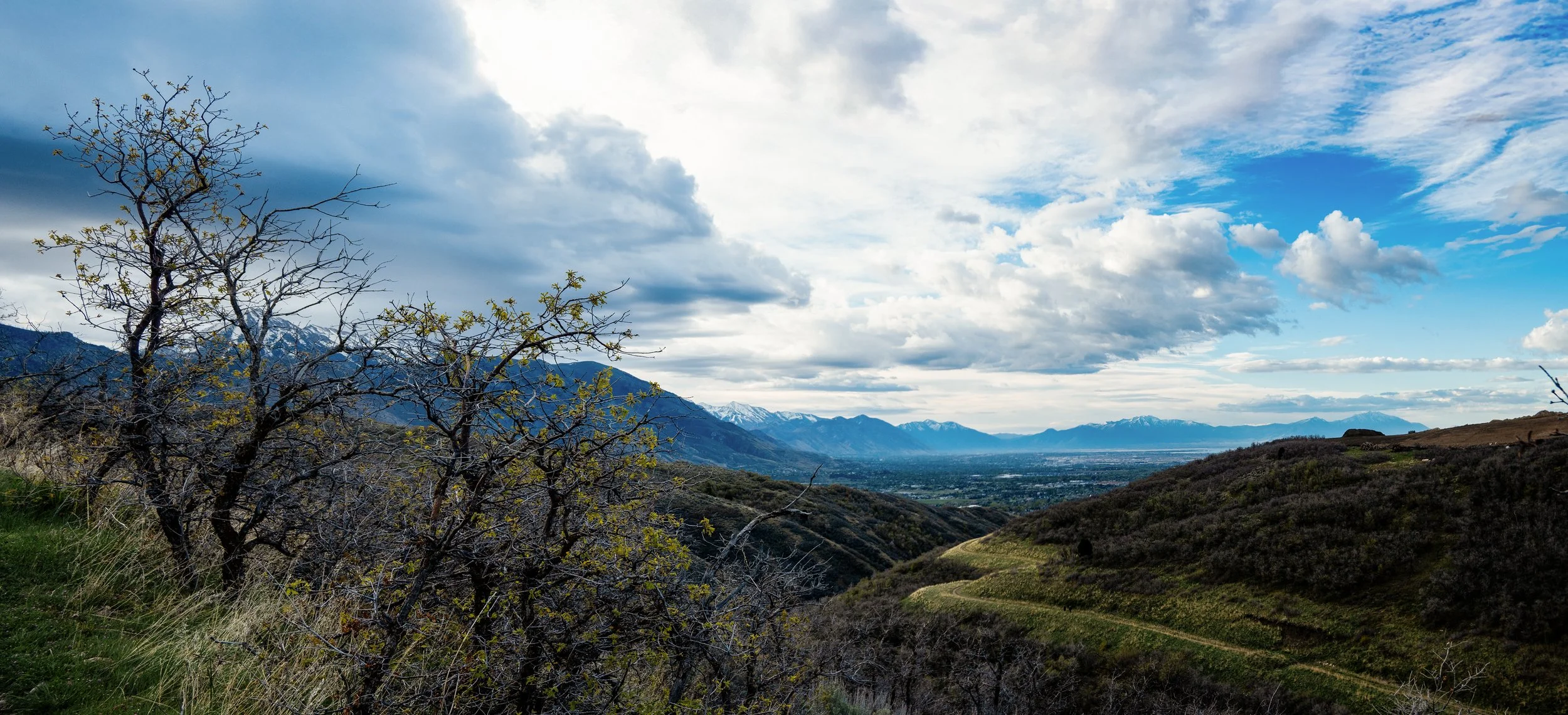 Pork-U-Pine Trail, 4/11/26 Panorama 2