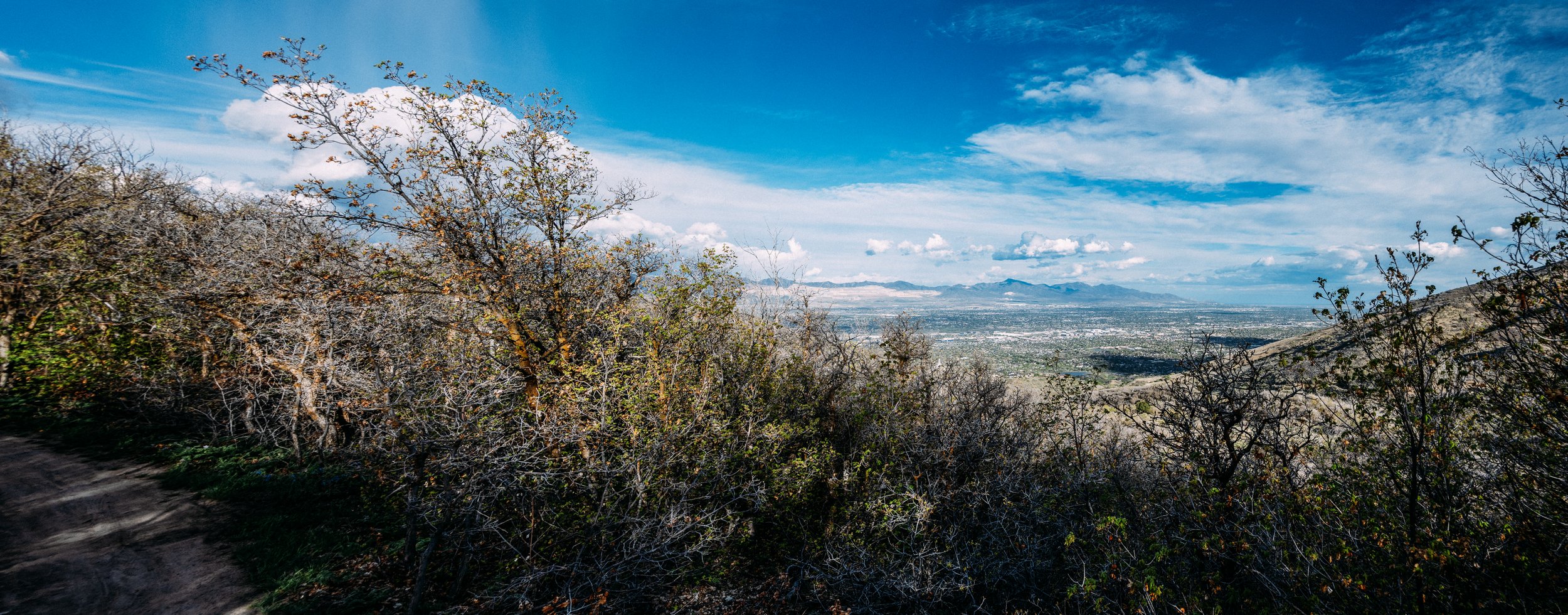 Corner Canyon, 4/11/26 Panorama 2
