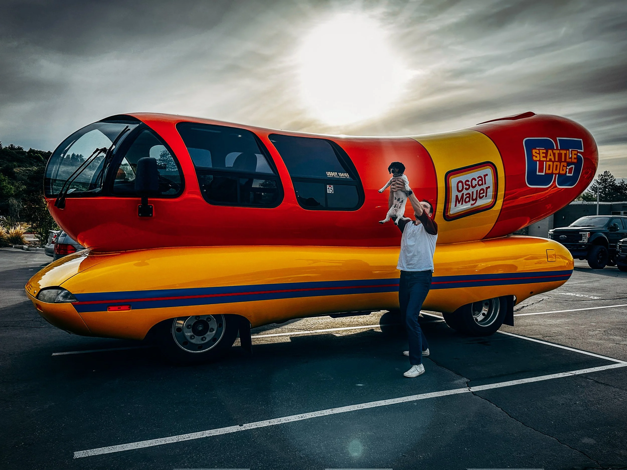 Lion King-ing the Dog