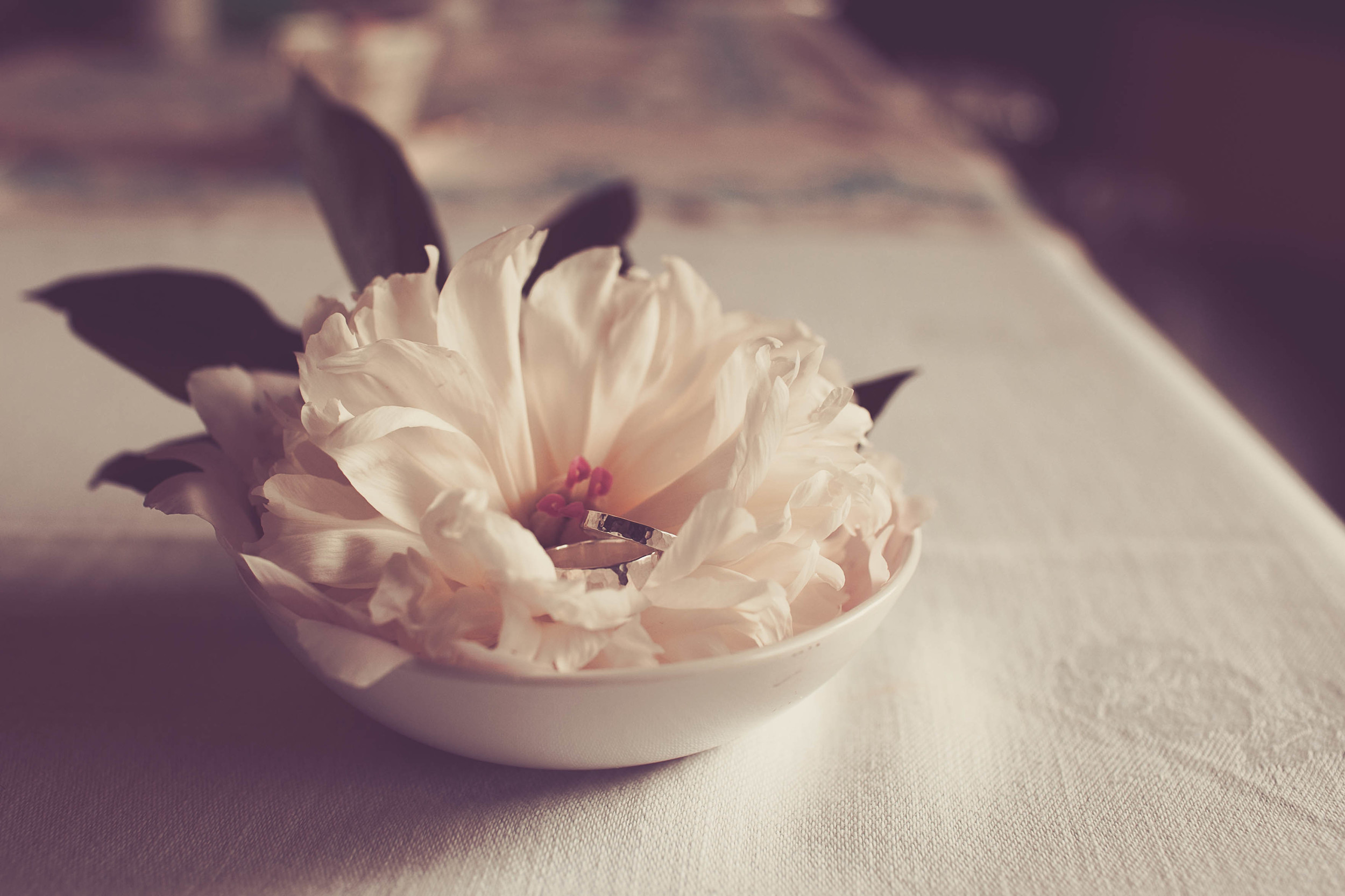 HatfieldWed-0020.jpg