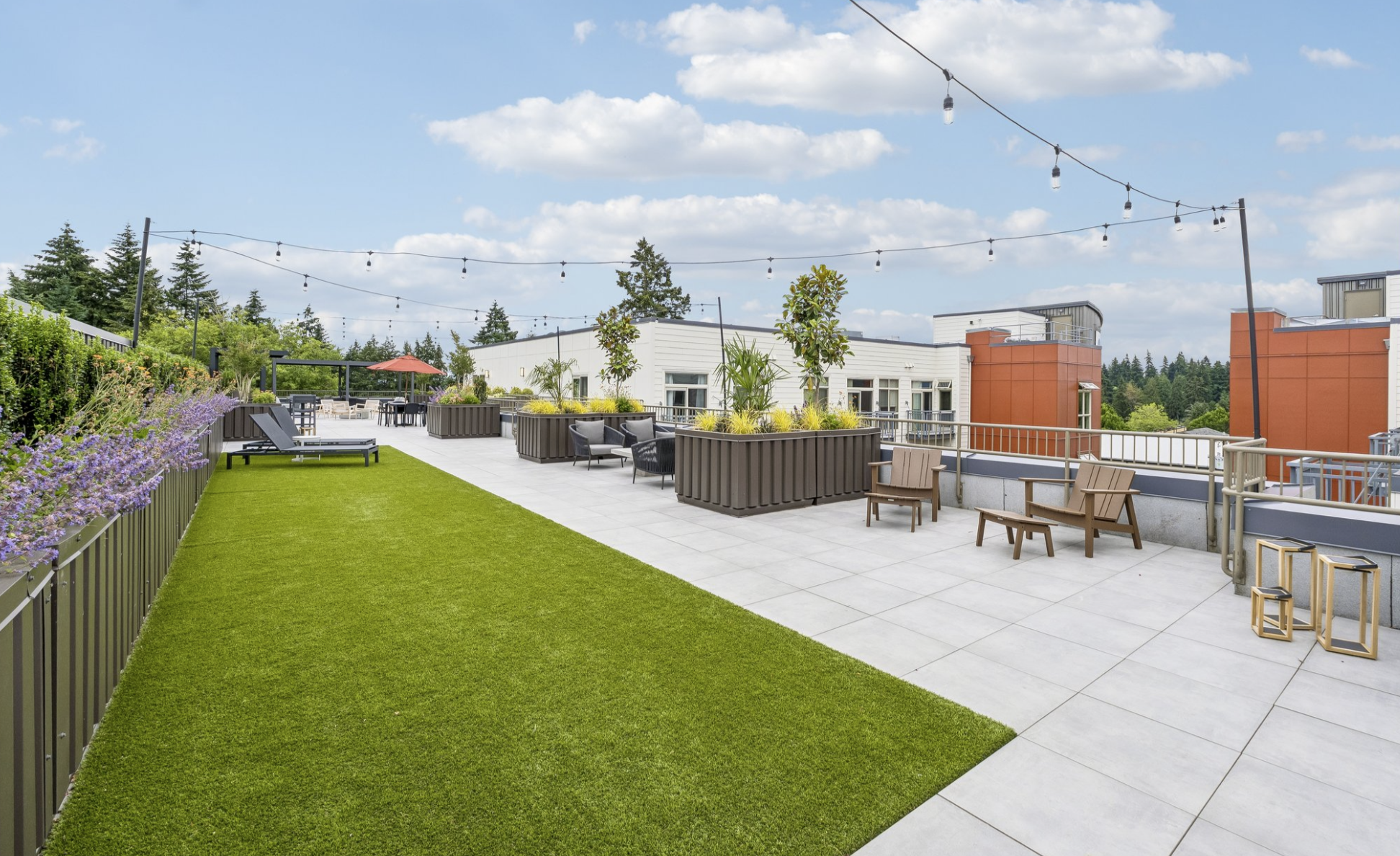 Roof Deck 4.png