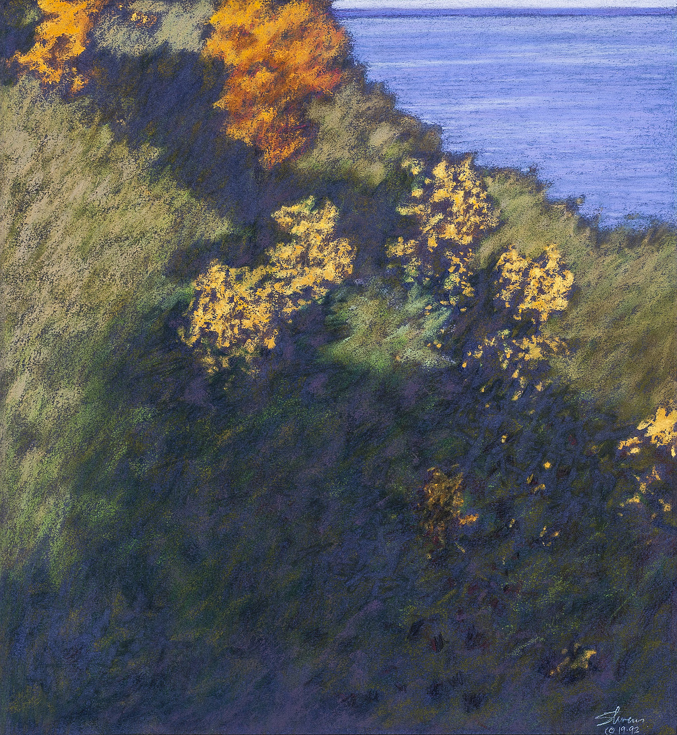 Approaching the Lake | pastel on paper | 16 x 15" | 1992