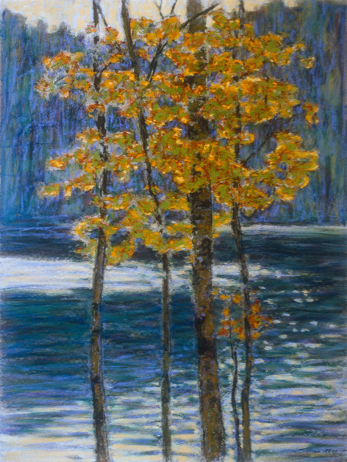 88-01 | pastel | 20 x 15" | 2001