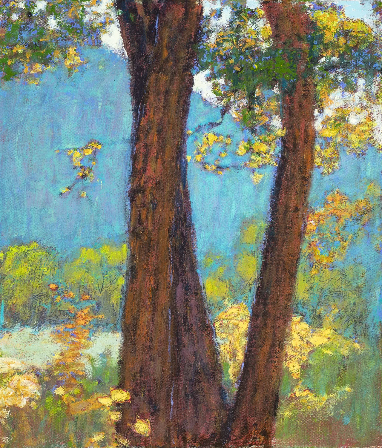 Afternoon Light ( Gallina Canyon ) | oil on linen | 14 x 12” | 2019