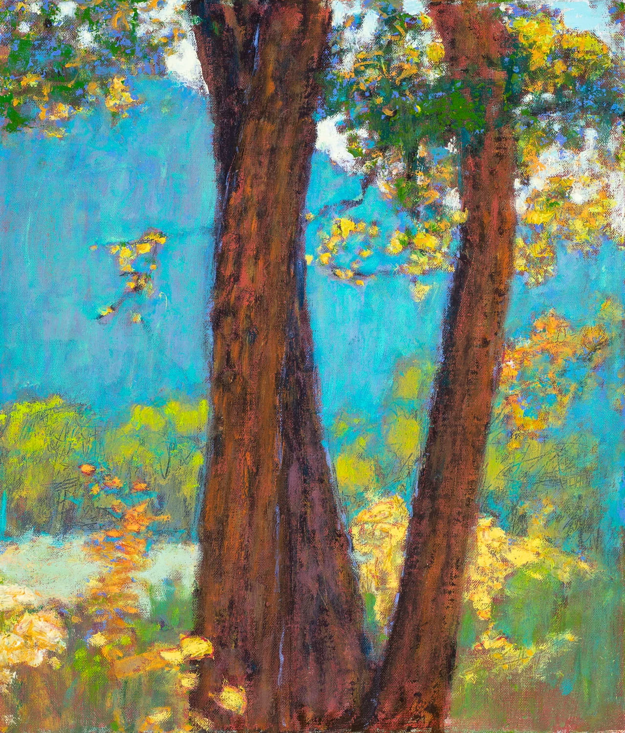 Afdternoon Light (Gallina Canyon) | oil on linen | 14 x 12”