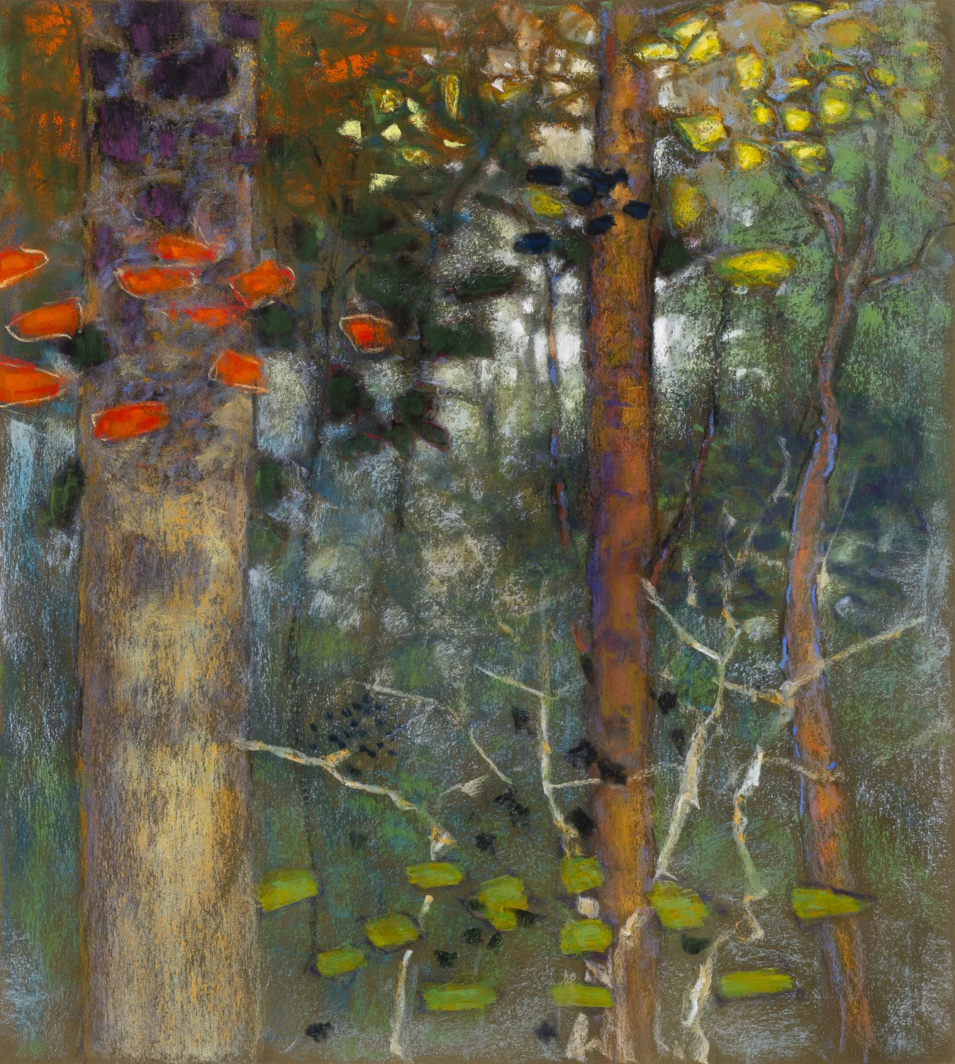 Woodland Ballad | pastel on paper | 20 x 18”