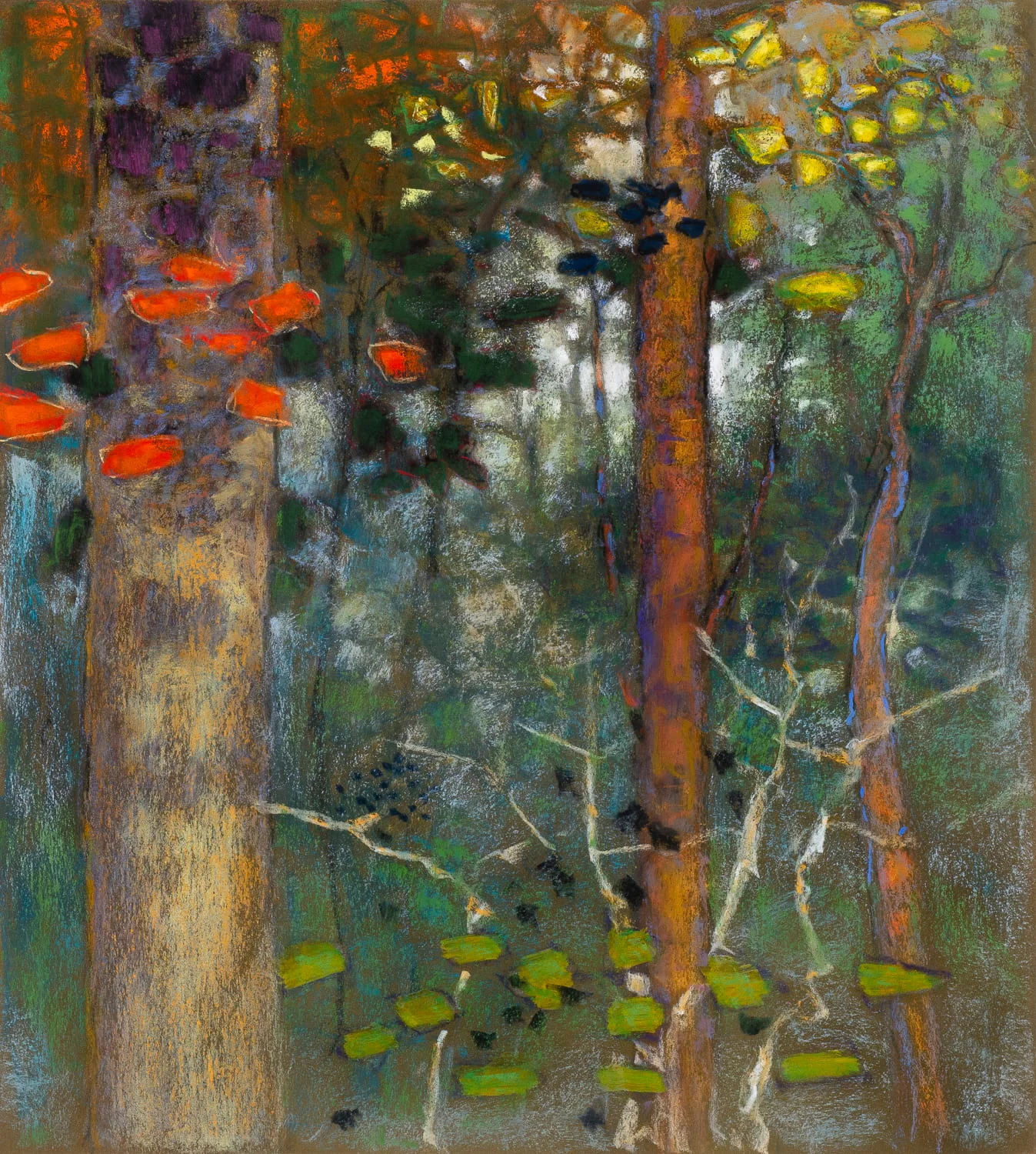Woodland Ballad | pastel on paper | 20 x 18" | 2019