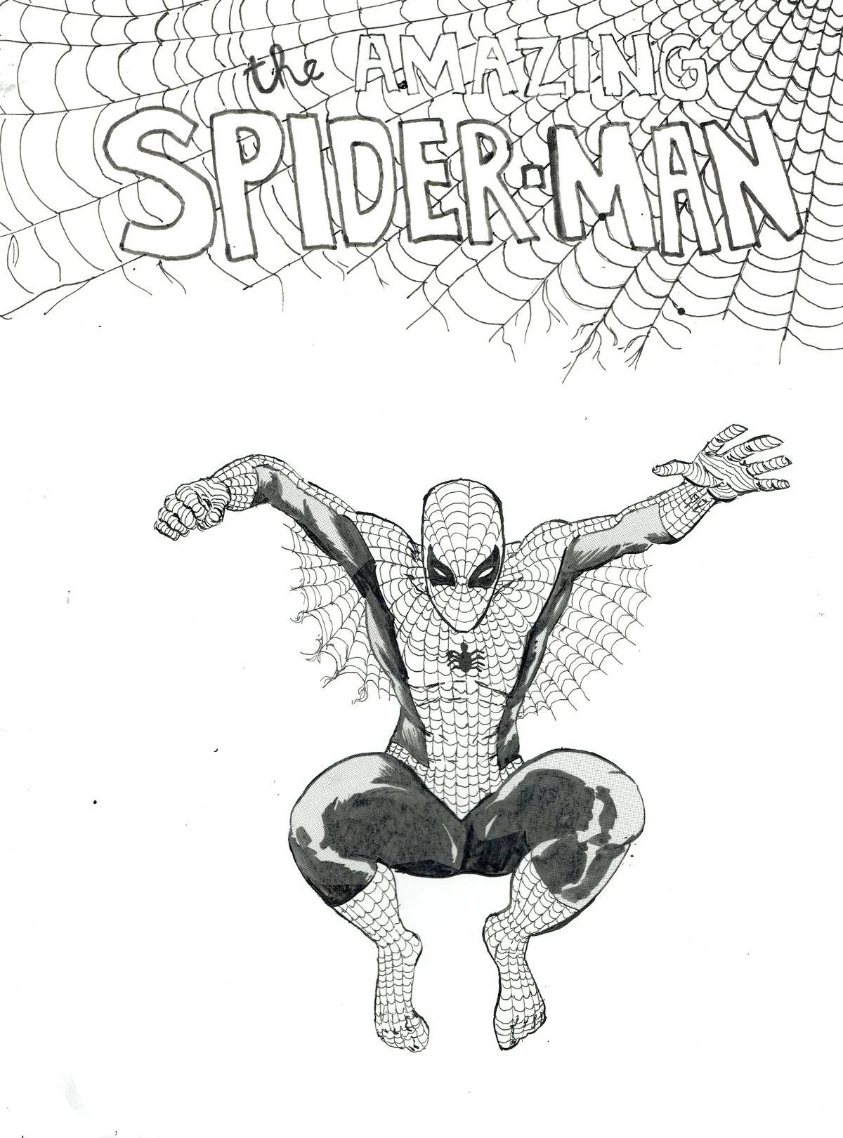 Image of The Amazing Spider-Man