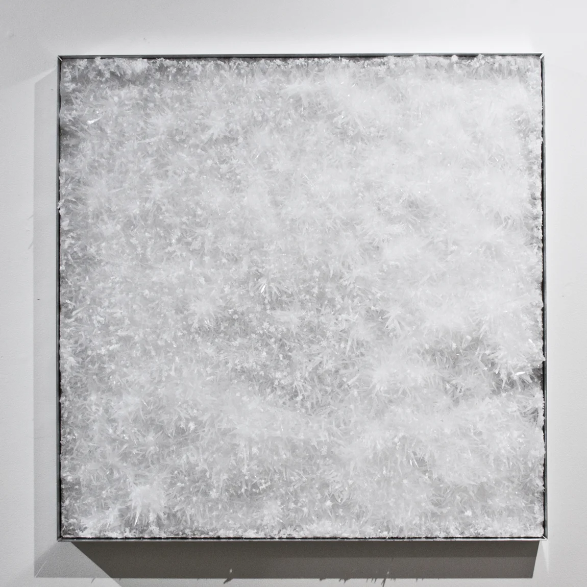 Crystal Plate #3, 2015