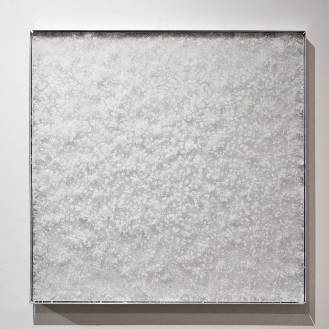 Crystal Plate #4, 2015