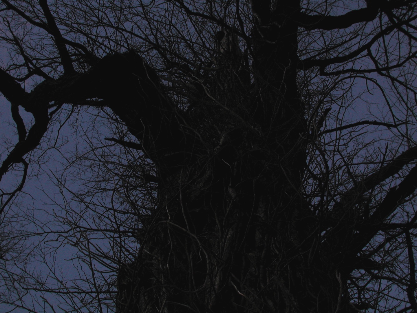 Black Figure on Blue, Independence, Virginia 2001