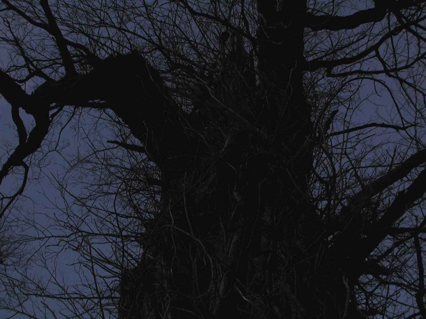 Black Figure on Blue, Independence, Virginia 2001