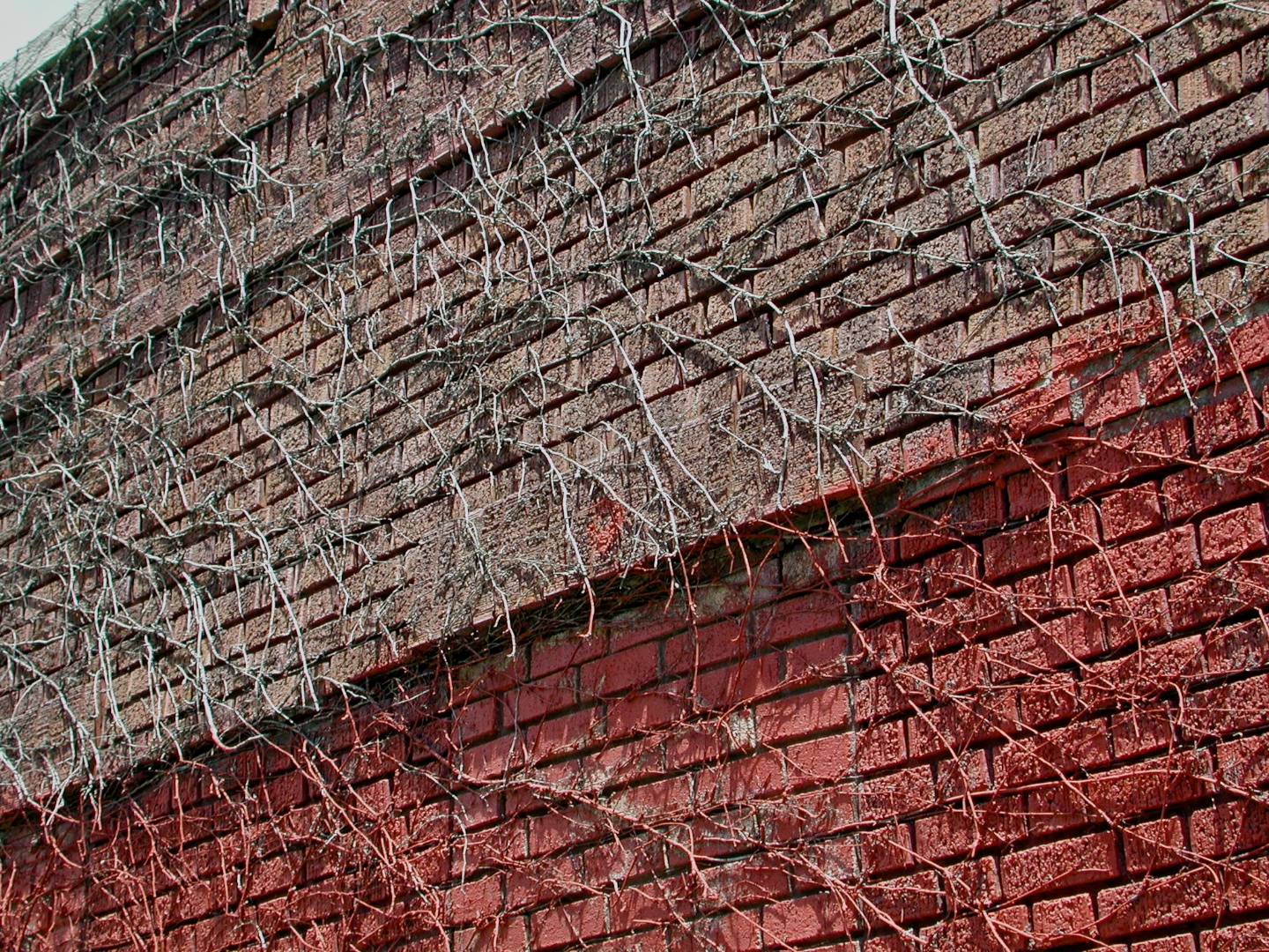 Red Trapezoid, Williamsburg, Brooklyn 2001