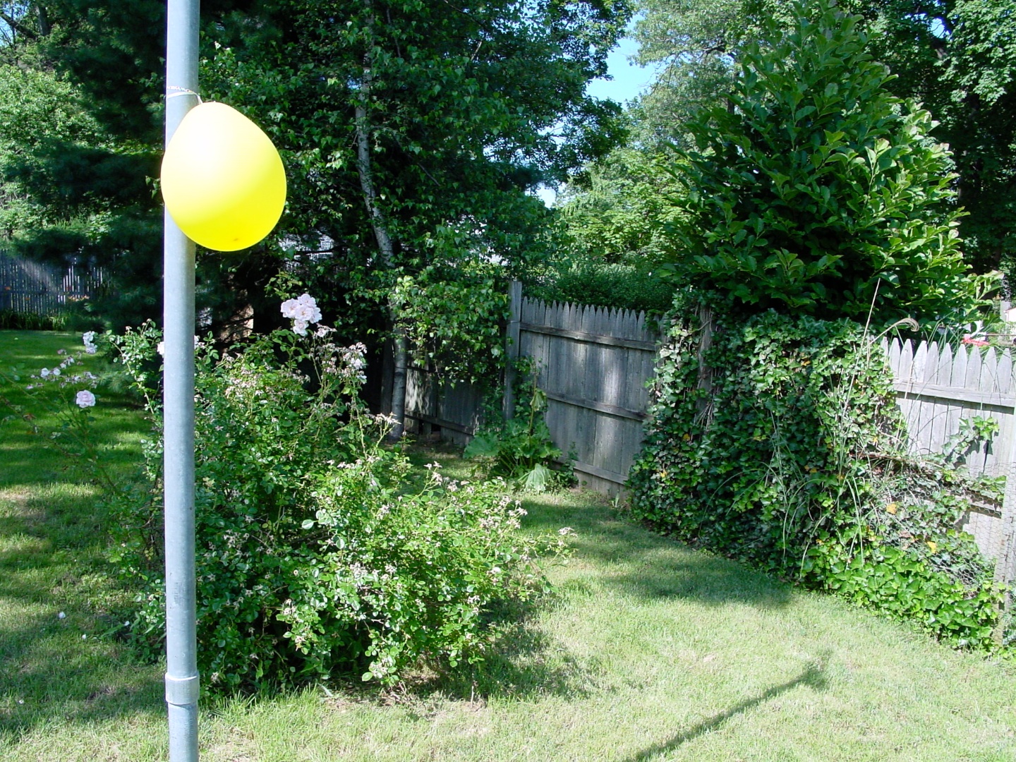 Yellow Oval, Huntington Station, New York 2000