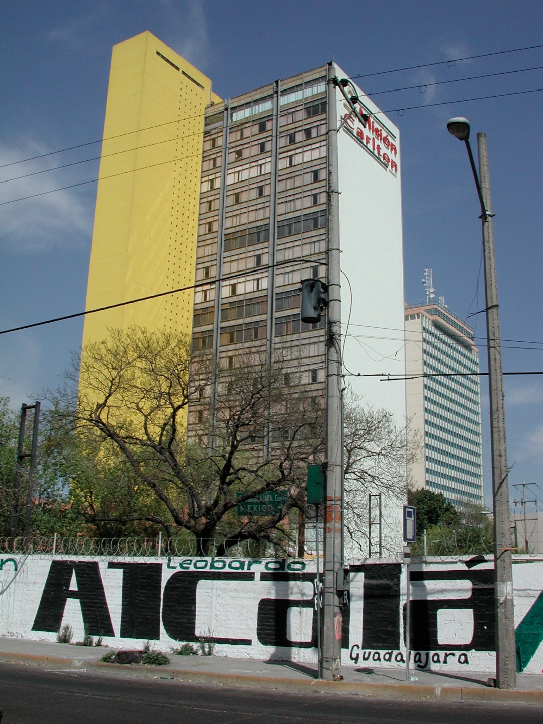 Yellow, Gray & White on Blue Ground, Guadalajara, Jalisco 2006