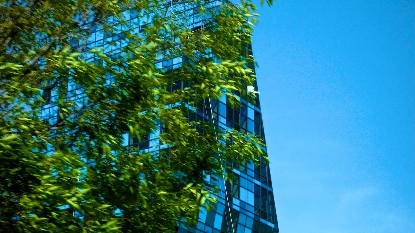 Blue Trap, New York, New York 2007