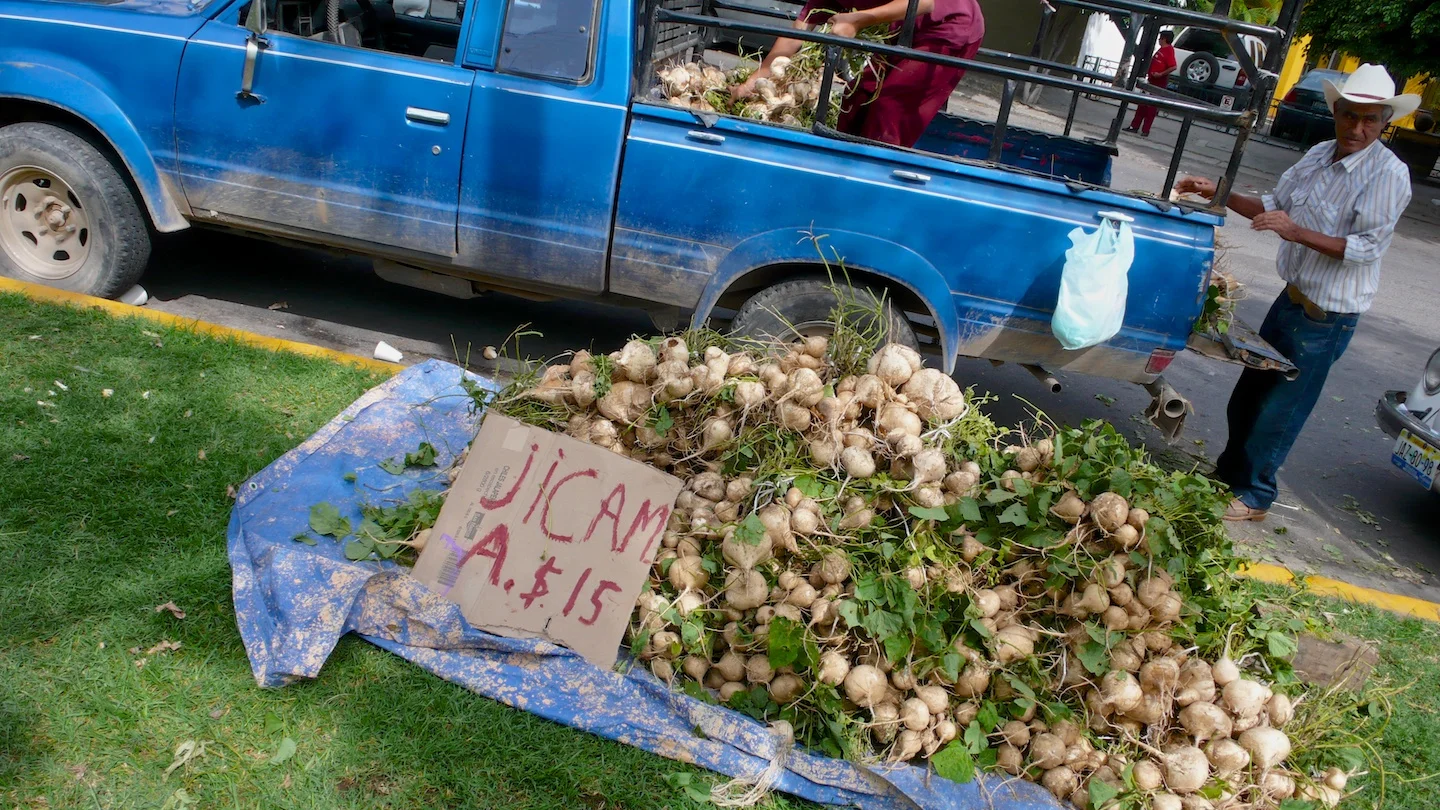 Zapopan, Jalisco 2007