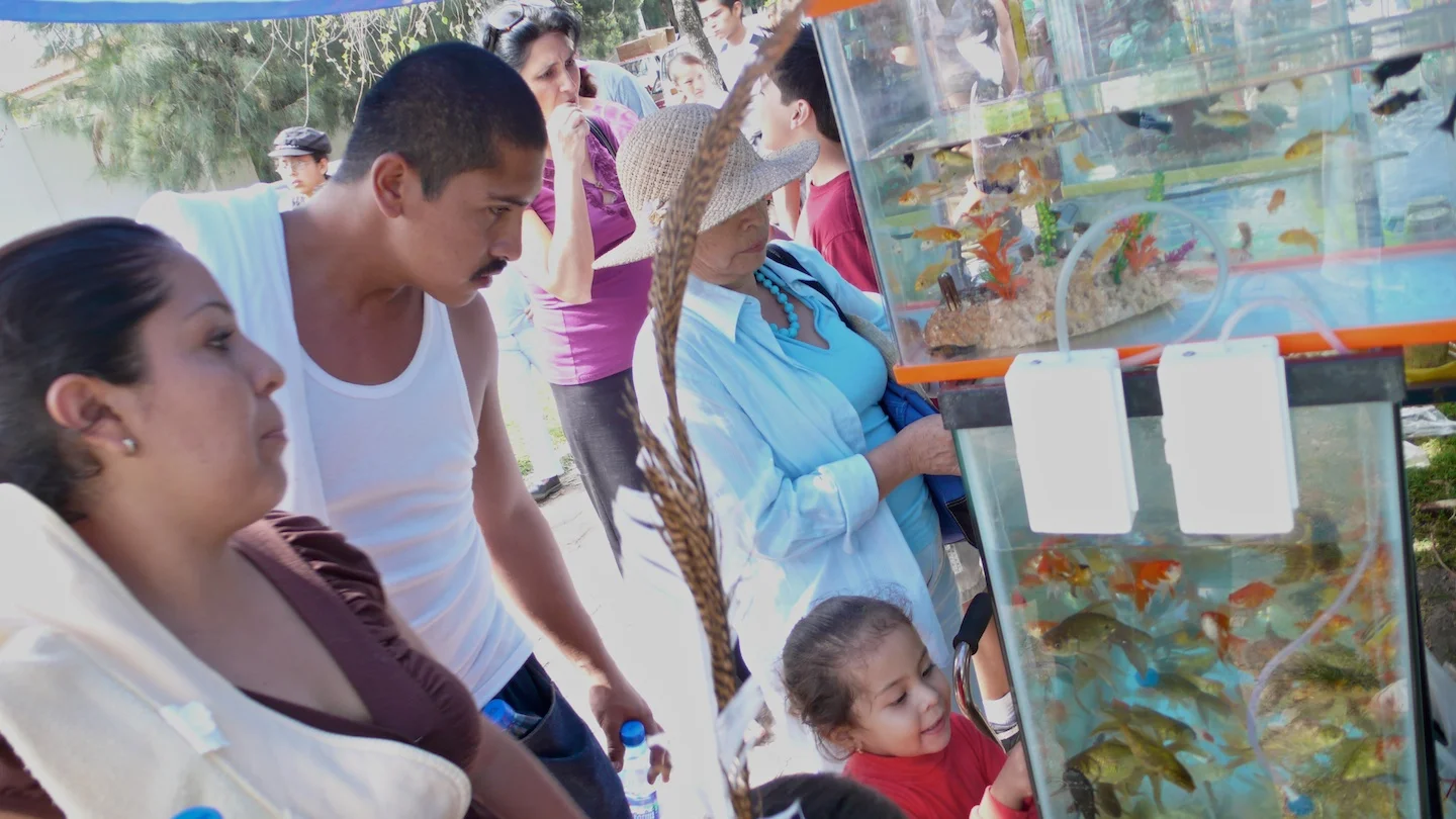 Zapopan, Jalisco 2007
