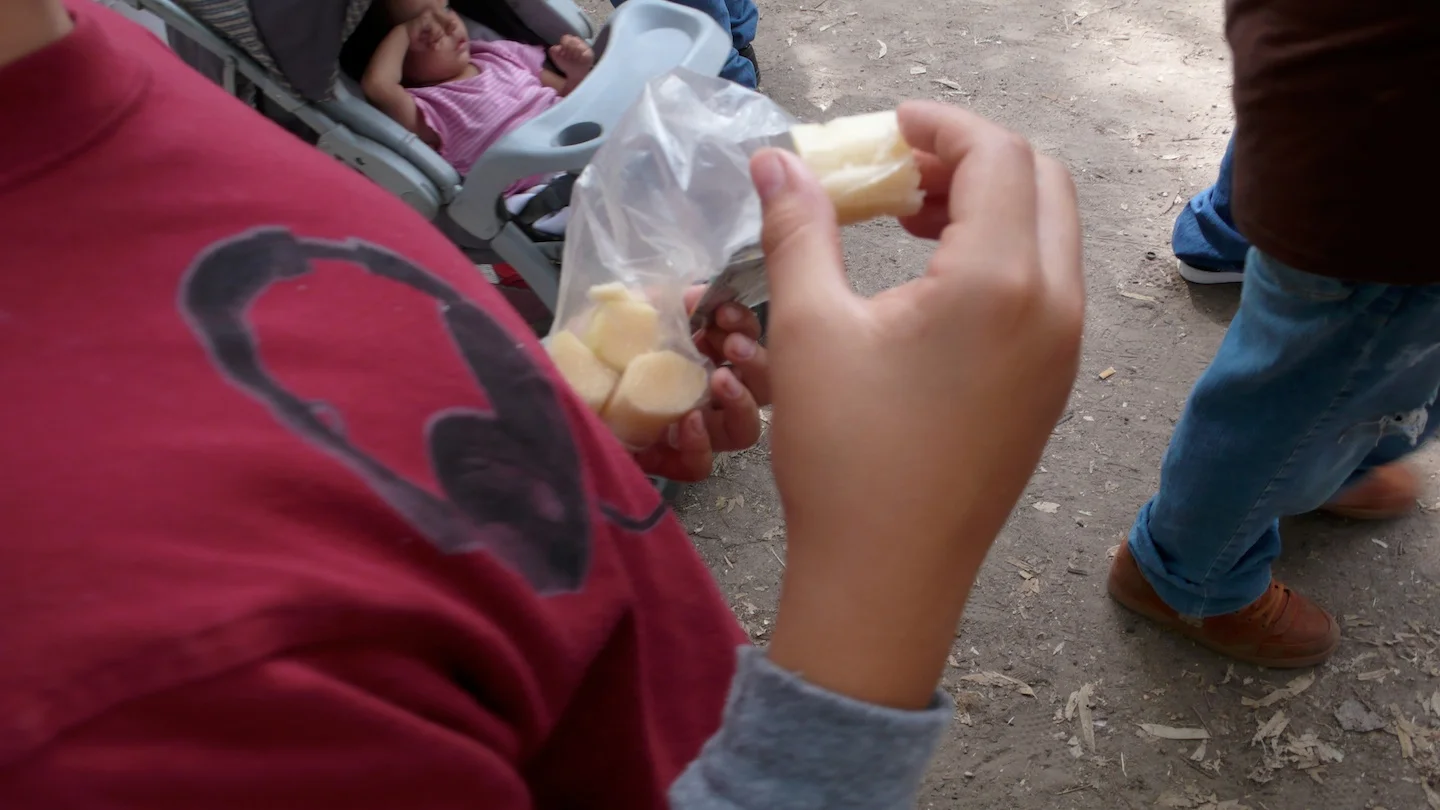 Zapopan, Jalisco 2007