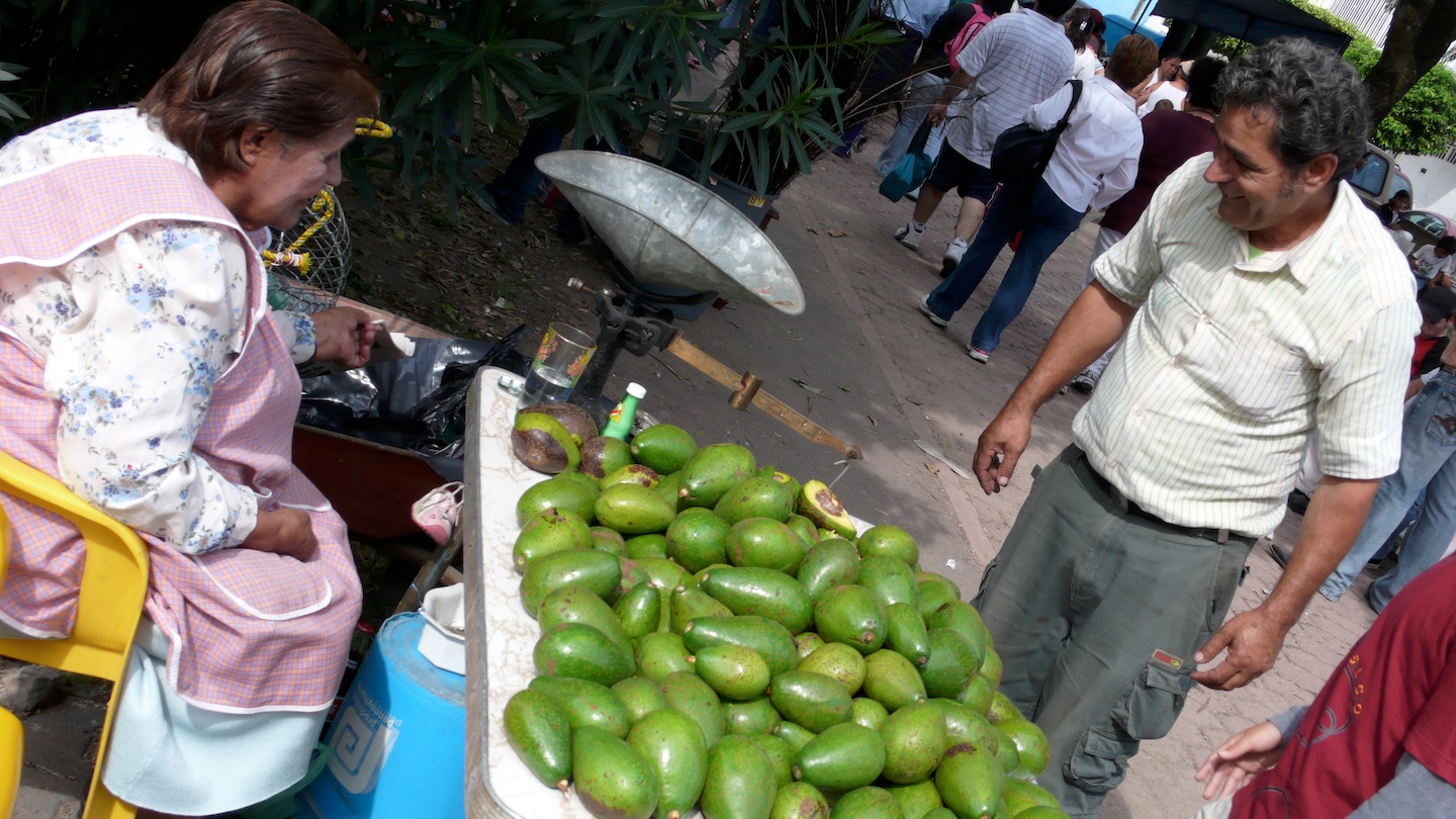 Zapopan, Jalisco 2007