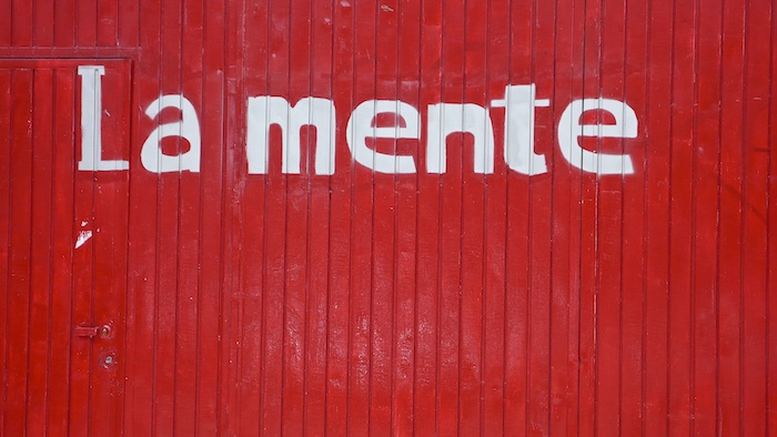 La mente up against a Red Wall, Zapopan, Jalisco 2007