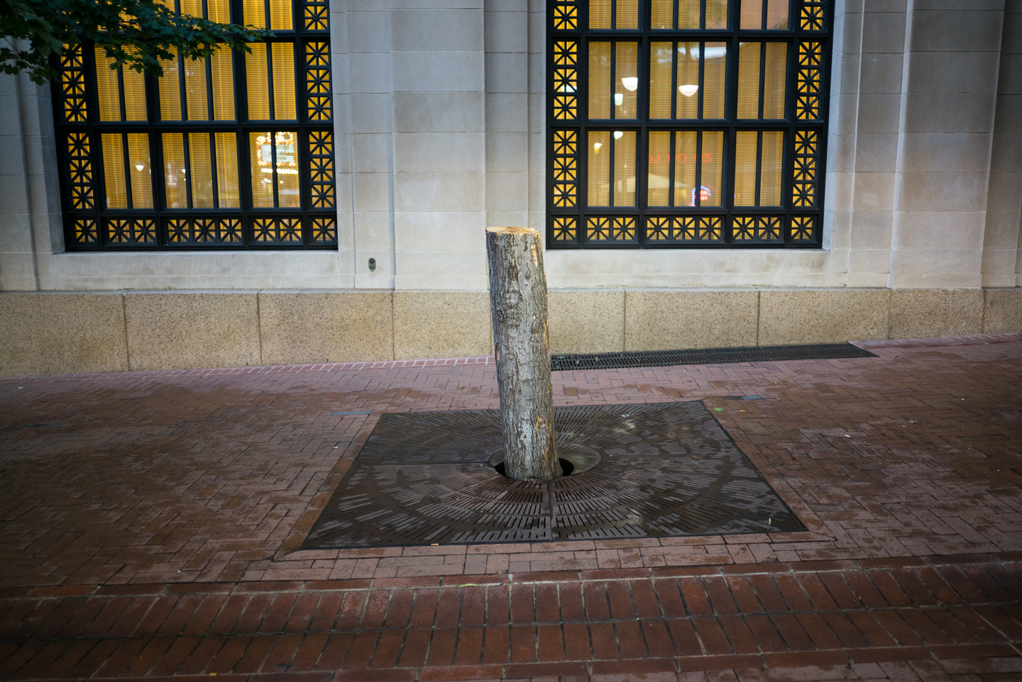 Pedestrian Mall. Charlottesville, Virginia 2015