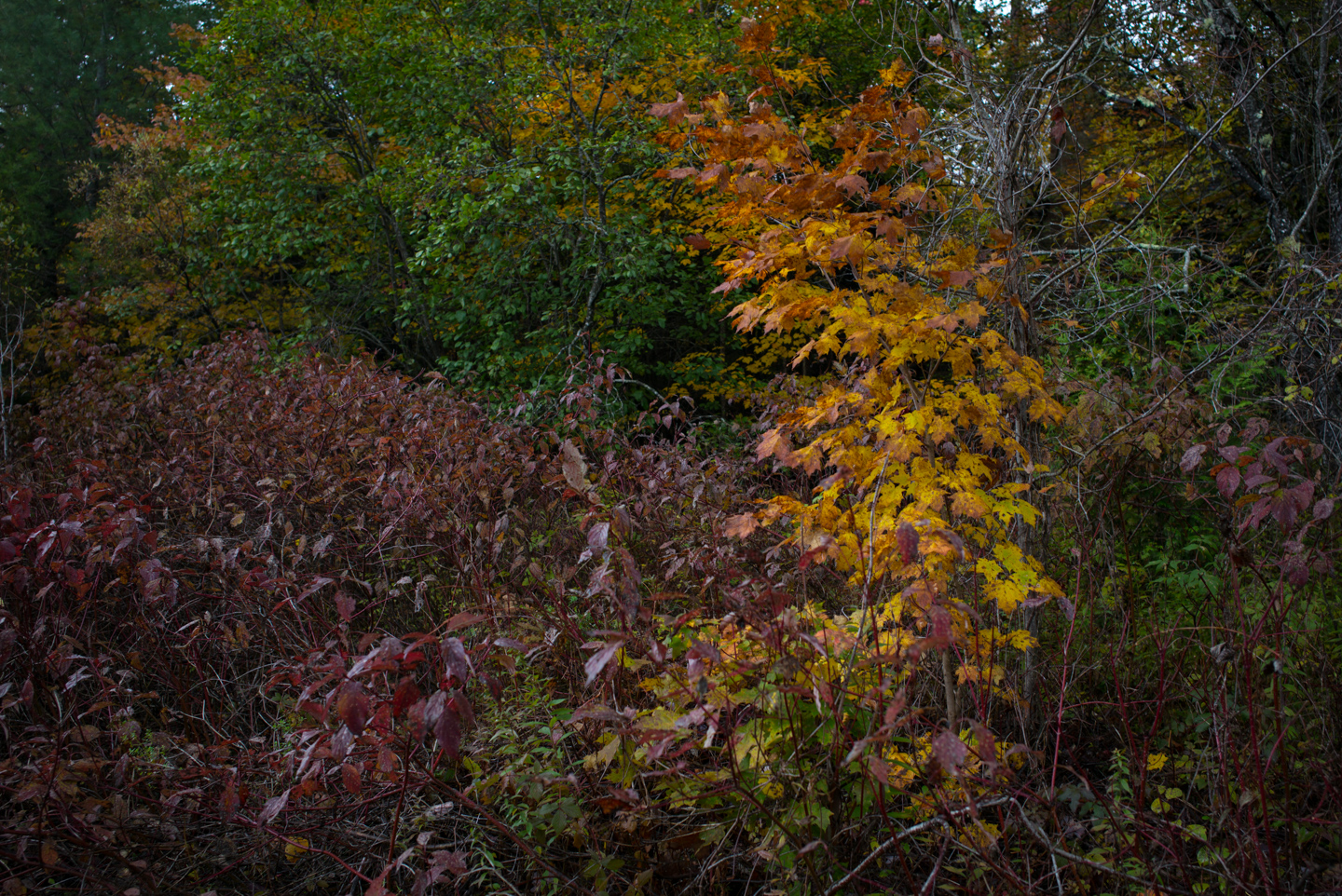 Tahawus, New York 2015