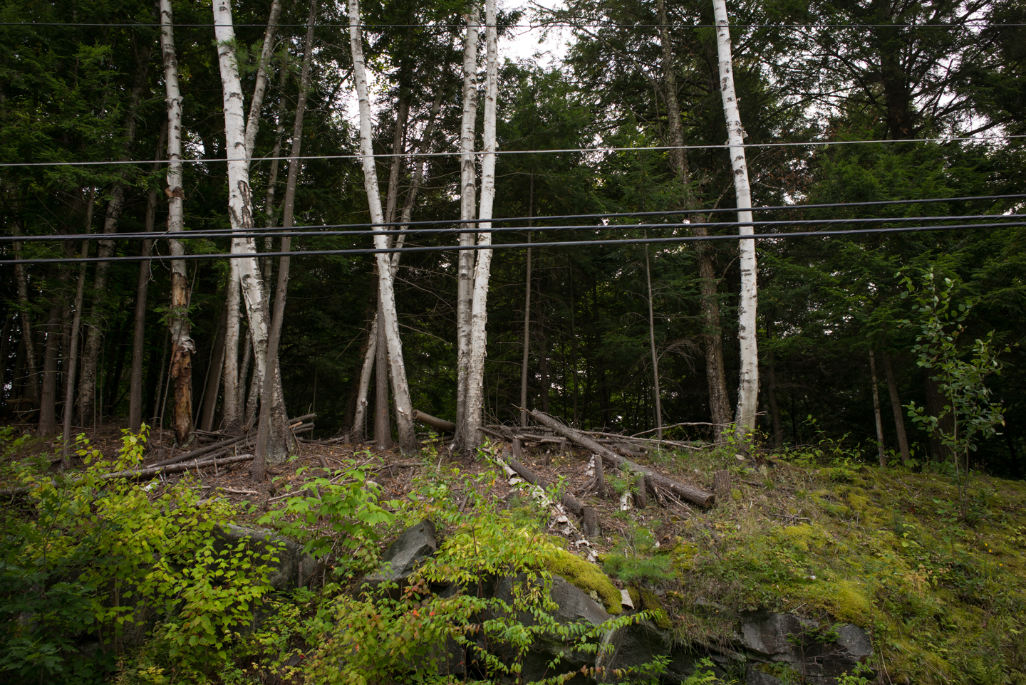 Long Lake, New York 2014