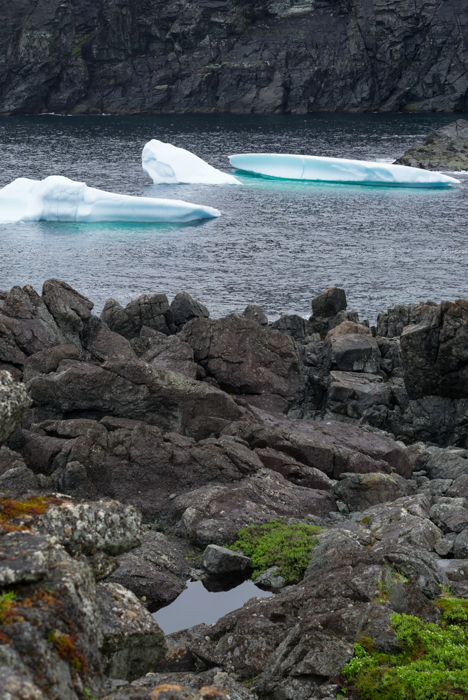 Fishing Point. St. Anthony, Newfoundland 2016