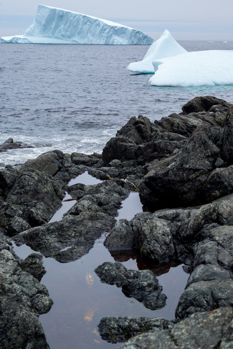 Fishing Point. St. Anthony, Newfoundland 2016