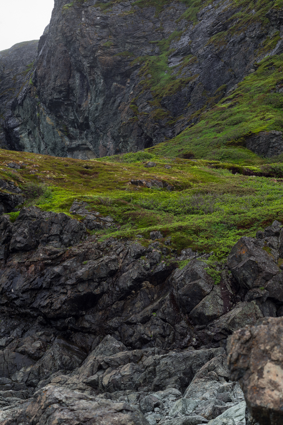 Fishing Point. St. Anthony, Newfoundland 2016