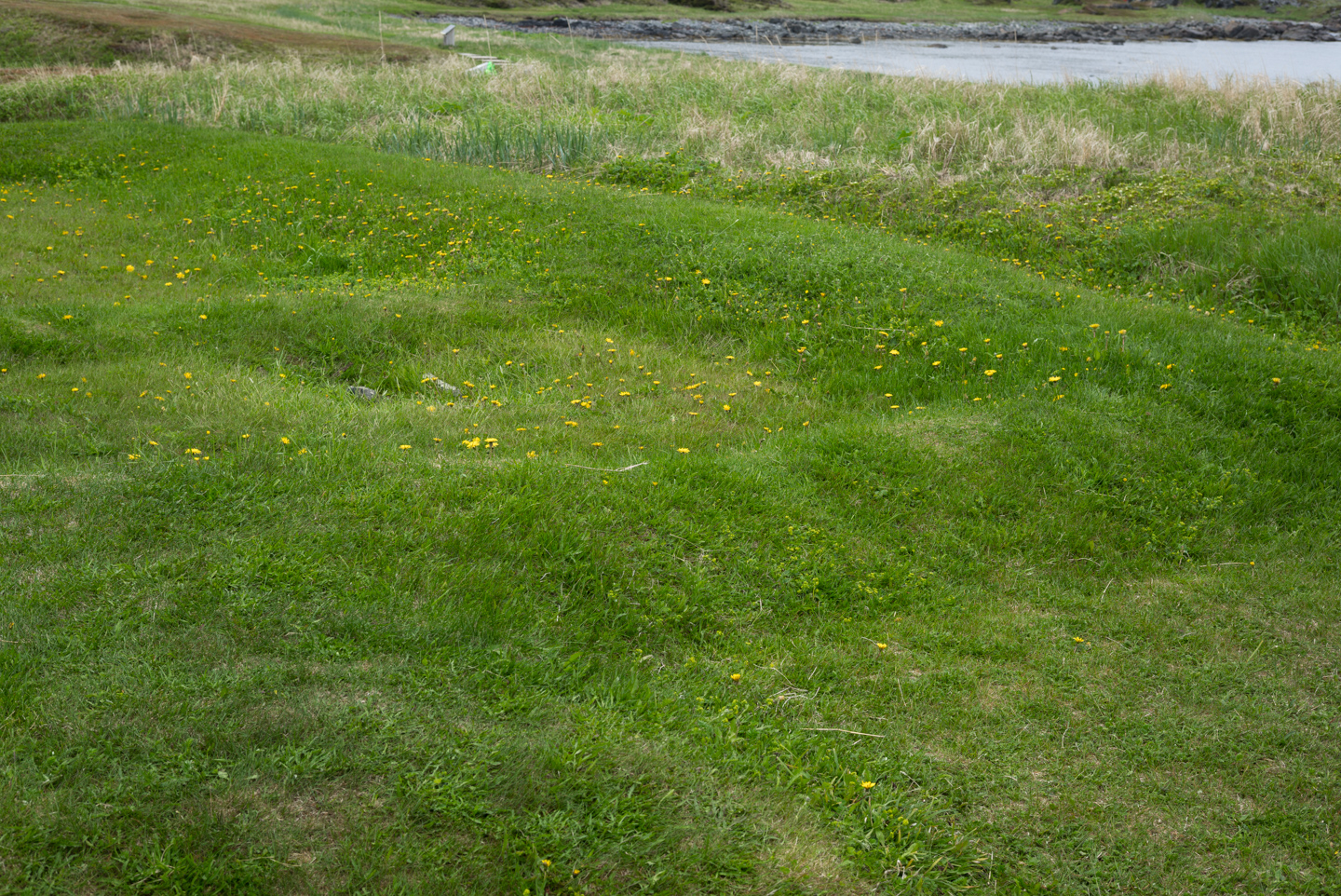 A group of mounds near the village that the locals called the “old Indian camp.”, L’Anse aux Meadows, Newfoundland 2016