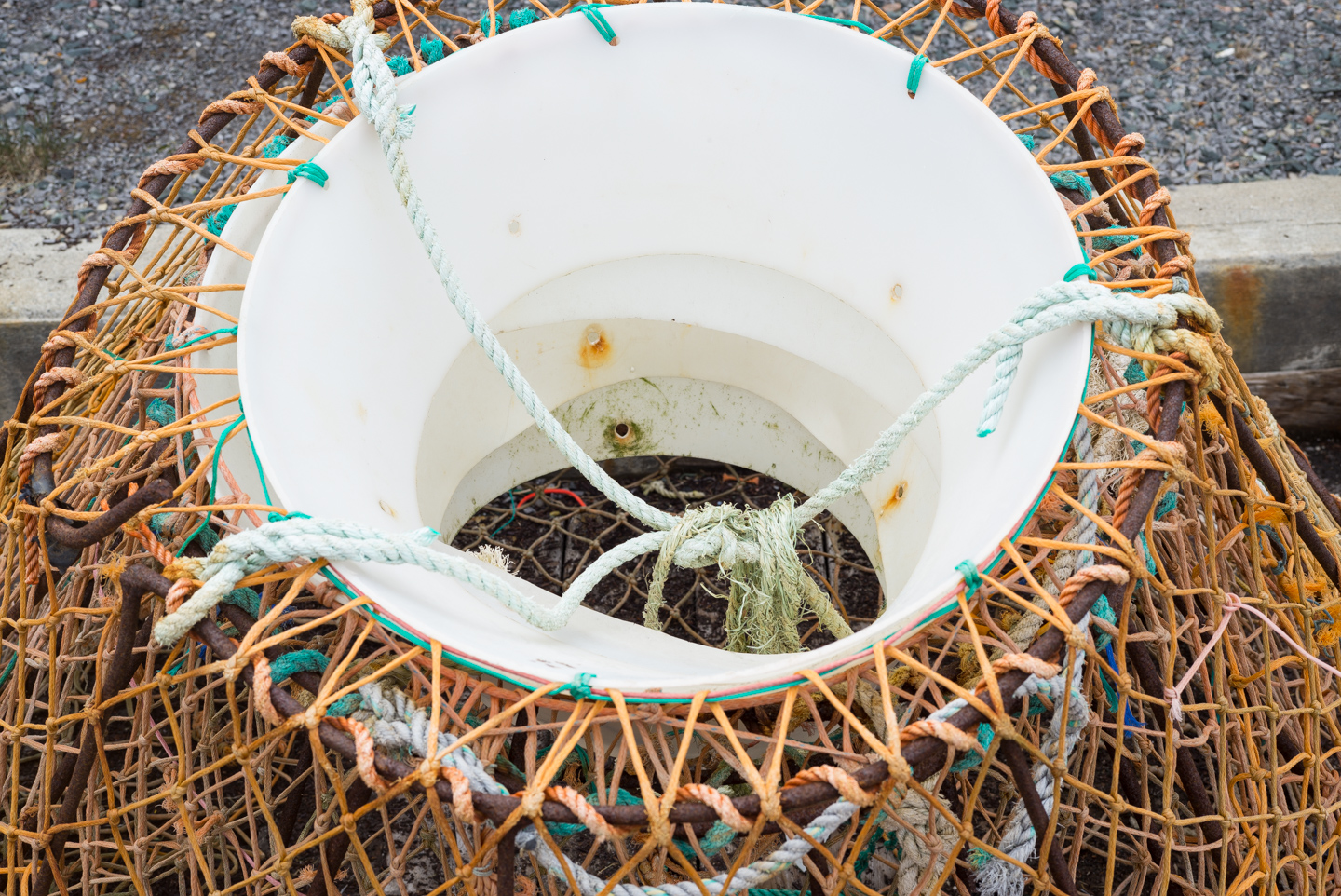 Crab trap. Goose Cove, Newfoundland 2016