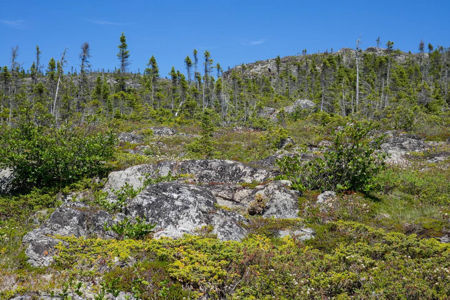 Fleur de Lys, Newfoundland 2016