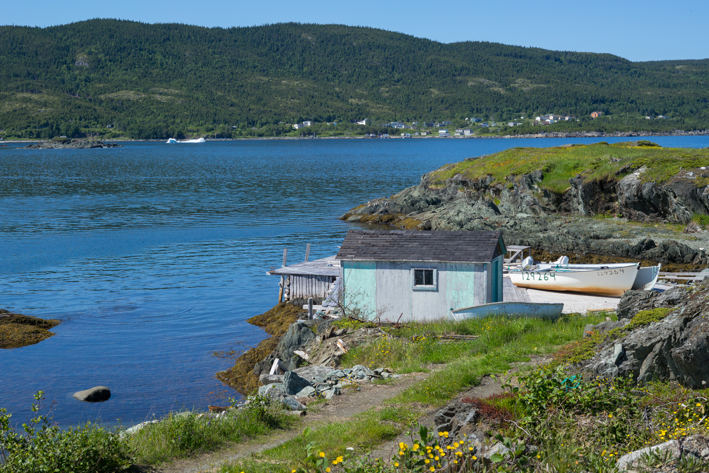 Coachman’s Cove, Newfoundland 2016