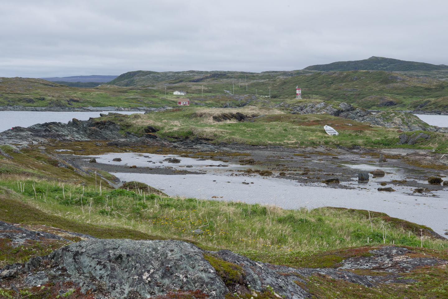 Goose Cove, Newfoundland 2016