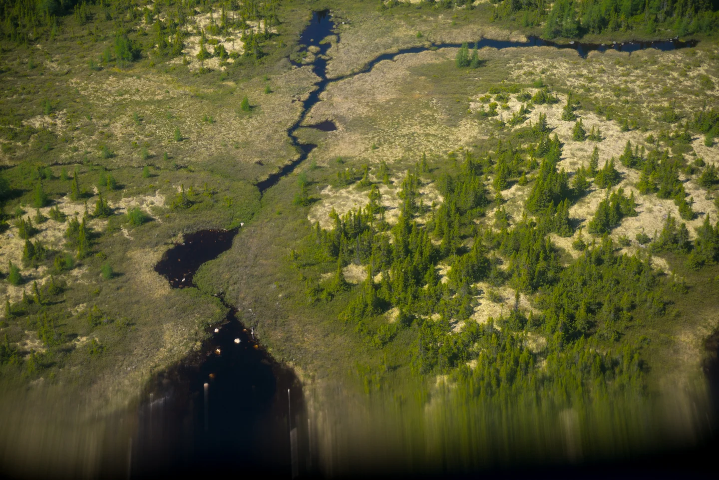 The Southern Labrador Coast, Labrador 2016